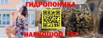 шишки Анапа