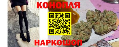 шишки Анапа