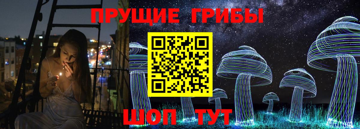 Галлюциногенные грибы Psilocybe Лысьва