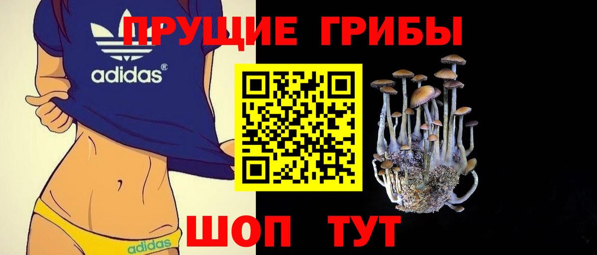 Галлюциногенные грибы прущие грибы  Псилоцибиновые грибы мицелий  Лысьва  где продают   Вход с VPN 